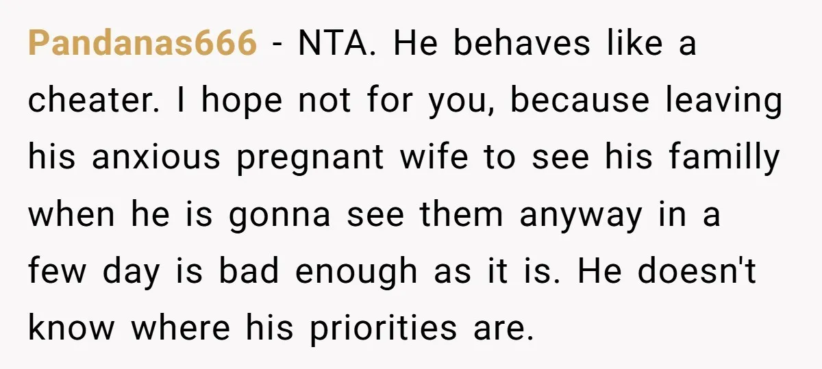 Pandanas666 − NTA. He behaves like a cheater. I hope not for you, because leaving his anxious pregnant wife to see his familly when he is gonna see them anyway...