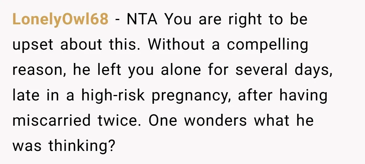 LonelyOwl68 − NTA You are right to be upset about this. Without a compelling reason, he left you alone for several days, late in a high-risk pregnancy, after having miscarried...