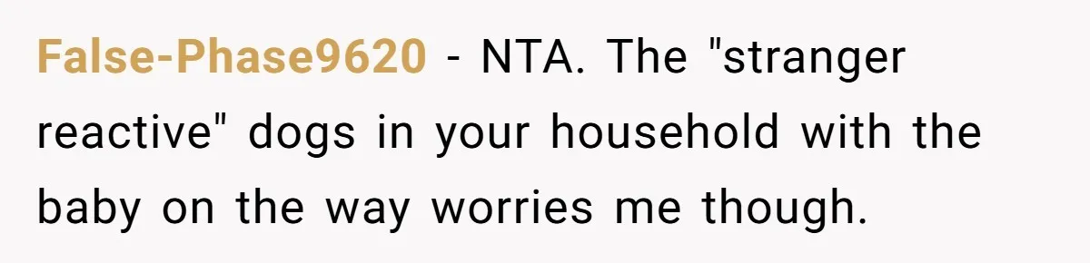 False-Phase9620 − NTA. The "stranger reactive" dogs in your household with the baby on the way worries me though.