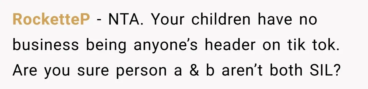 RocketteP − NTA. Your children have no business being anyone’s header on tik tok. Are you sure person a & b aren’t both SIL?