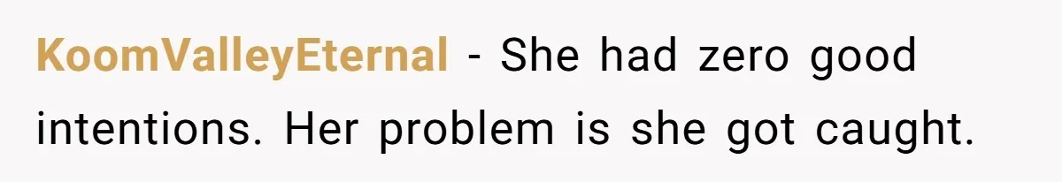 KoomValleyEternal − She had zero good intentions. Her problem is she got caught.