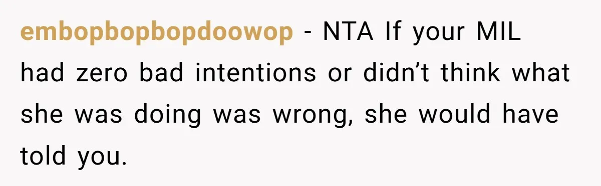 embopbopbopdoowop − NTA If your MIL had zero bad intentions or didn’t think what she was doing was wrong, she would have told you.