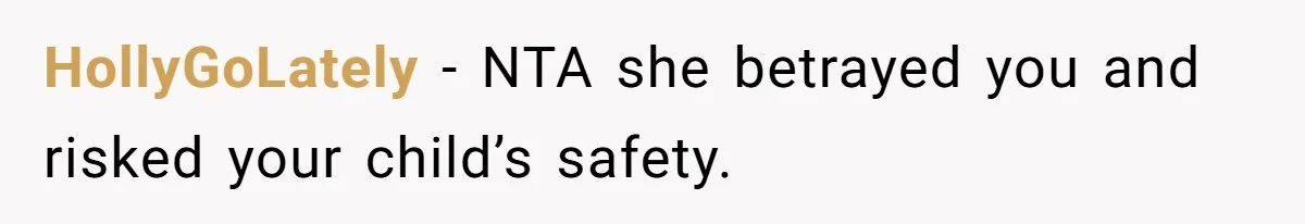 HollyGoLately − NTA she betrayed you and risked your child’s safety.