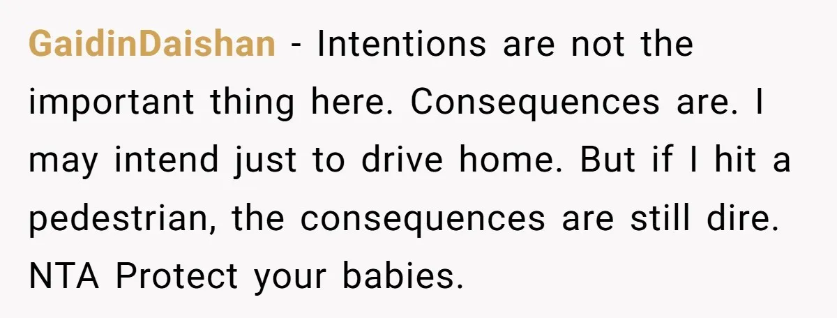 GaidinDaishan − Intentions are not the important thing here. Consequences are. I may intend just to drive home. But if I hit a pedestrian, the consequences are still dire. NTA...