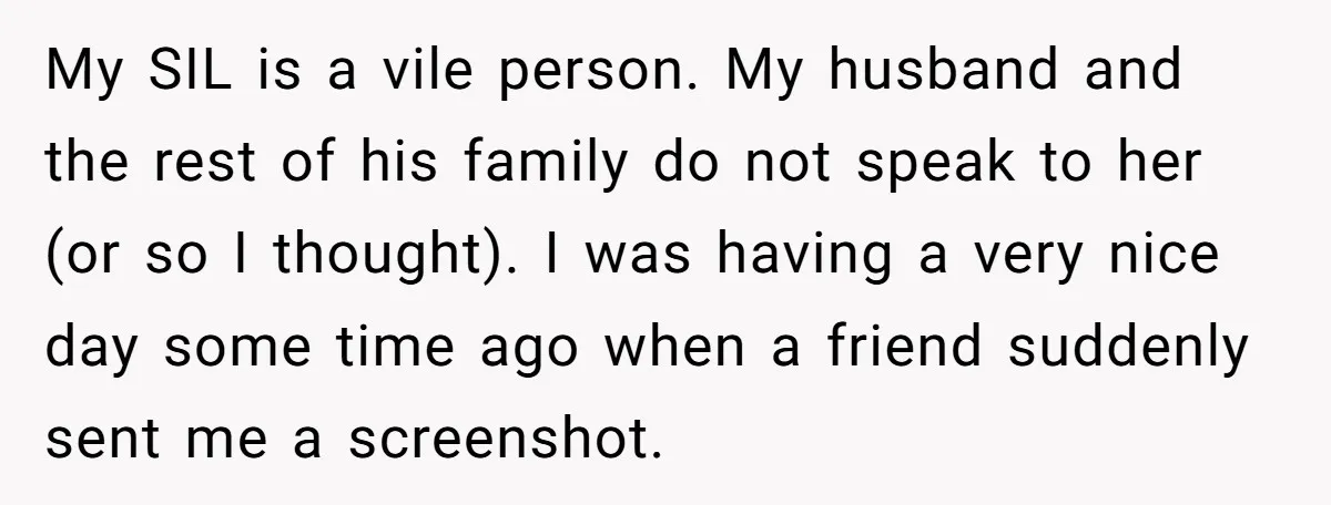 My SIL is a vile person. My husband and the rest of his family do not speak to her (or so I thought). I was having a very nice day...