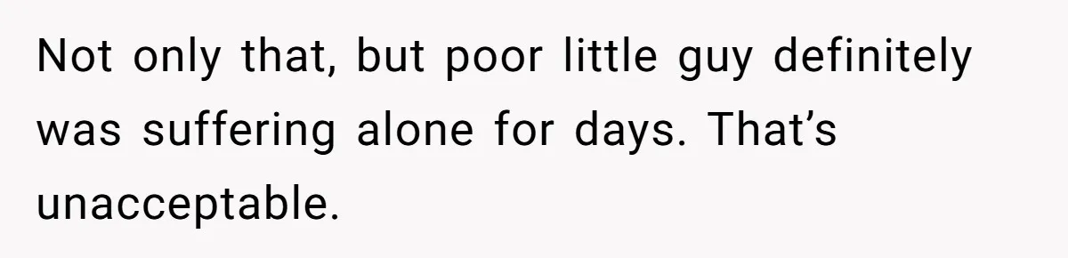 Not only that, but poor little guy definitely was suffering alone for days. That’s unacceptable.