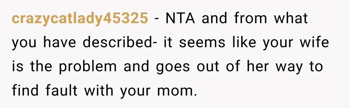 crazycatlady45325 − NTA and from what you have described- it seems like your wife is the problem and goes out of her way to find fault with your mom.