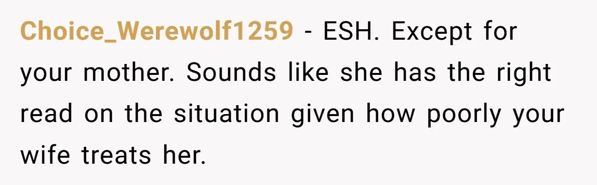 Choice_Werewolf1259 − ESH. Except for your mother. Sounds like she has the right read on the situation given how poorly your wife treats her.