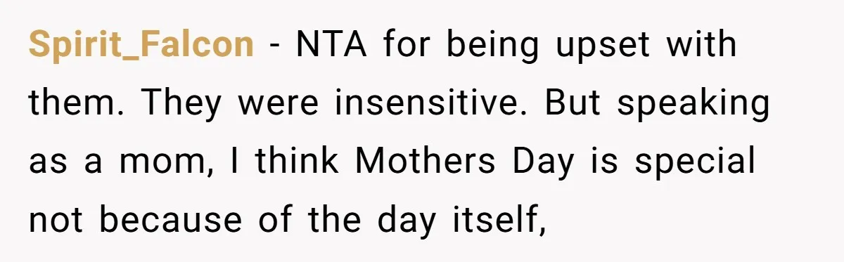 Spirit_Falcon − NTA for being upset with them. They were insensitive. But speaking as a mom, I think Mothers Day is special not because of the day itself,