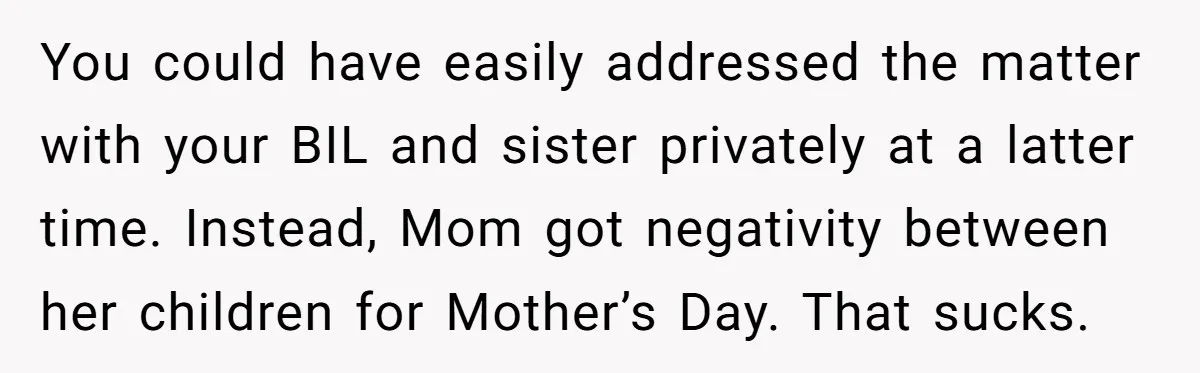 You could have easily addressed the matter with your BIL and sister privately at a latter time. Instead, Mom got negativity between her children for Mother’s Day. That sucks.