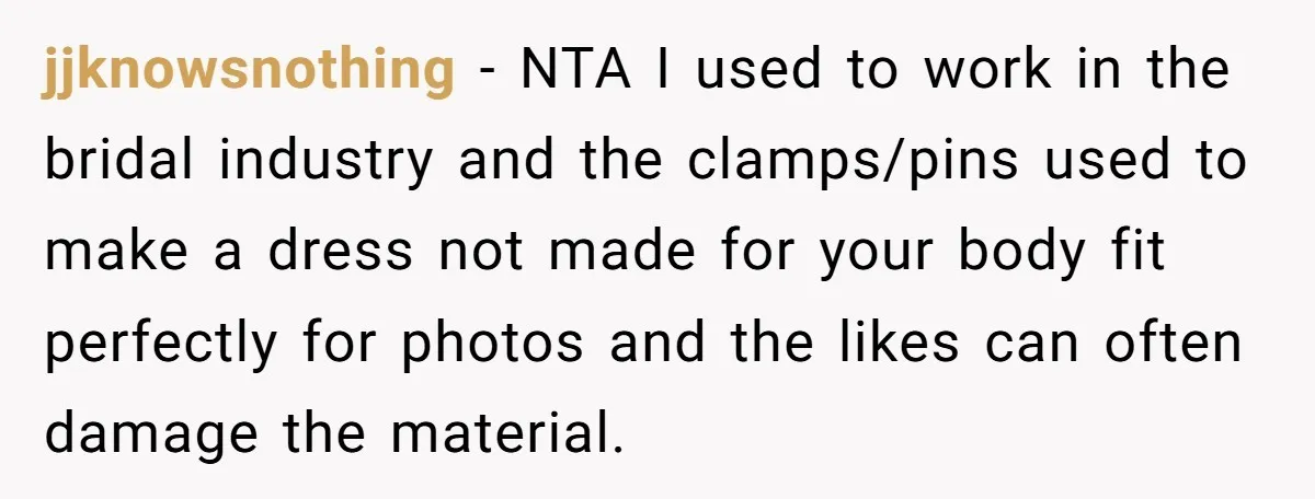 jjknowsnothing − NTA I used to work in the bridal industry and the clamps/pins used to make a dress not made for your body fit perfectly for photos and the...