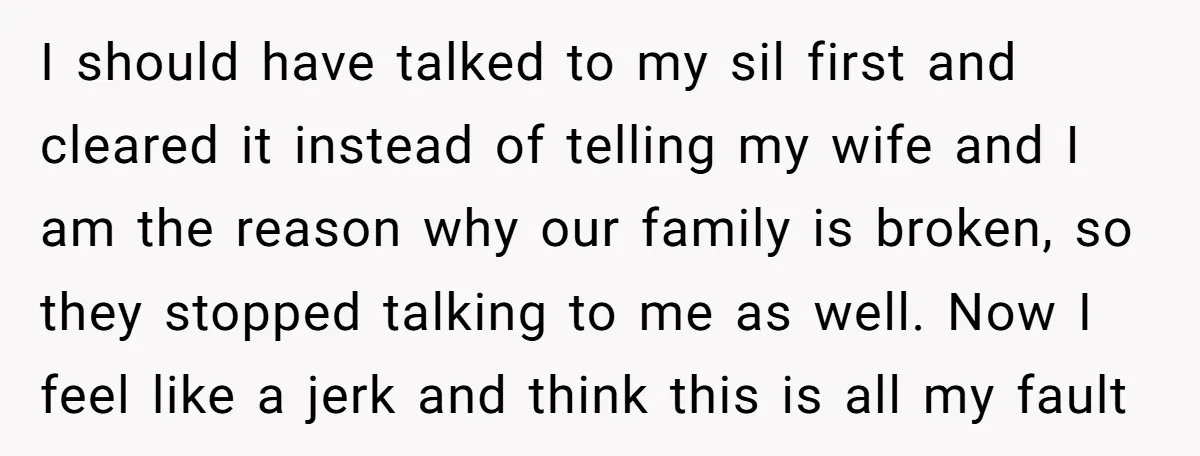 I should have talked to my sil first and cleared it instead of telling my wife and I am the reason why our family is broken, so they stopped talking...