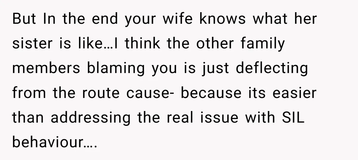But In the end your wife knows what her sister is like…I think the other family members blaming you is just deflecting from the route cause- because its easier than...