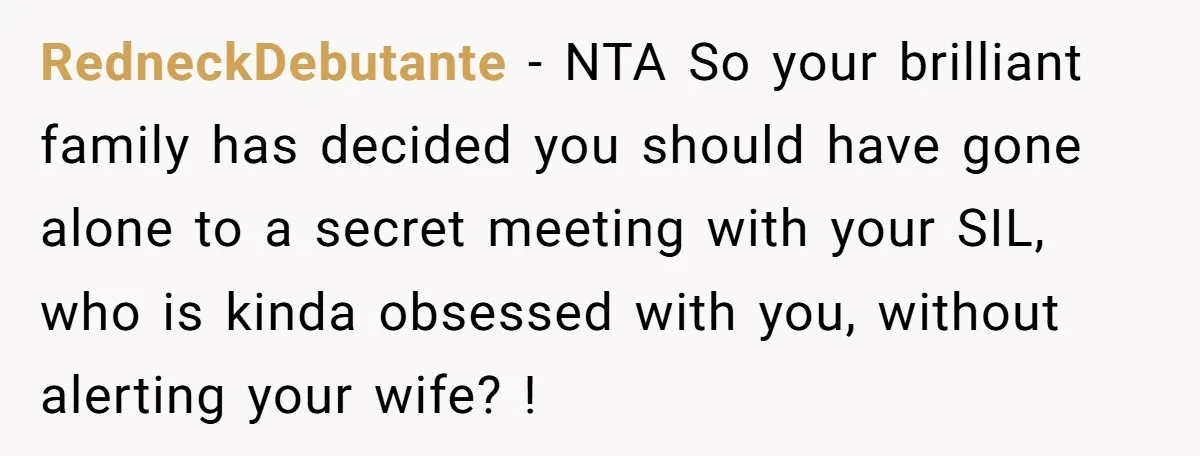 RedneckDebutante − NTA So your brilliant family has decided you should have gone alone to a secret meeting with your SIL, who is kinda obsessed with you, without alerting your...