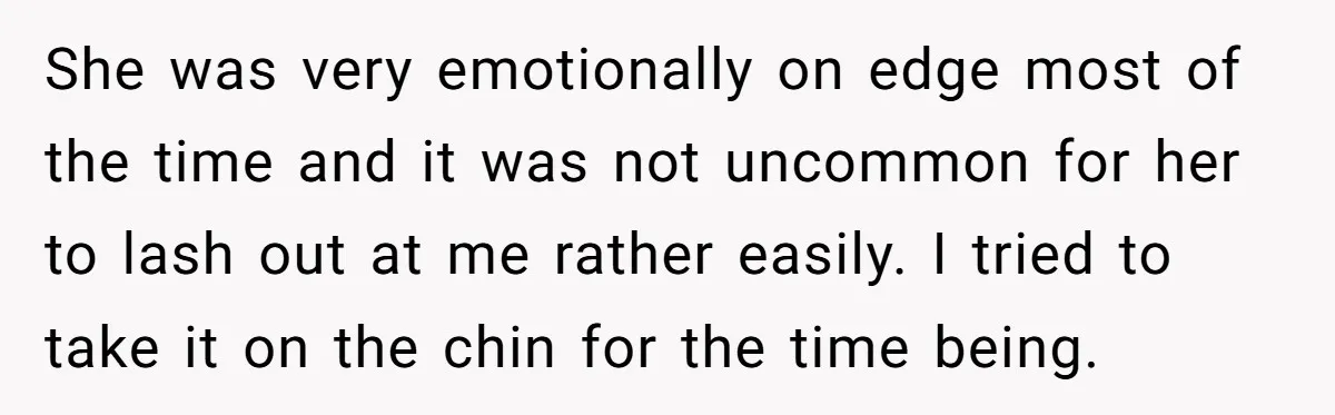 She was very emotionally on edge most of the time and it was not uncommon for her to lash out at me rather easily. I tried to take it on...