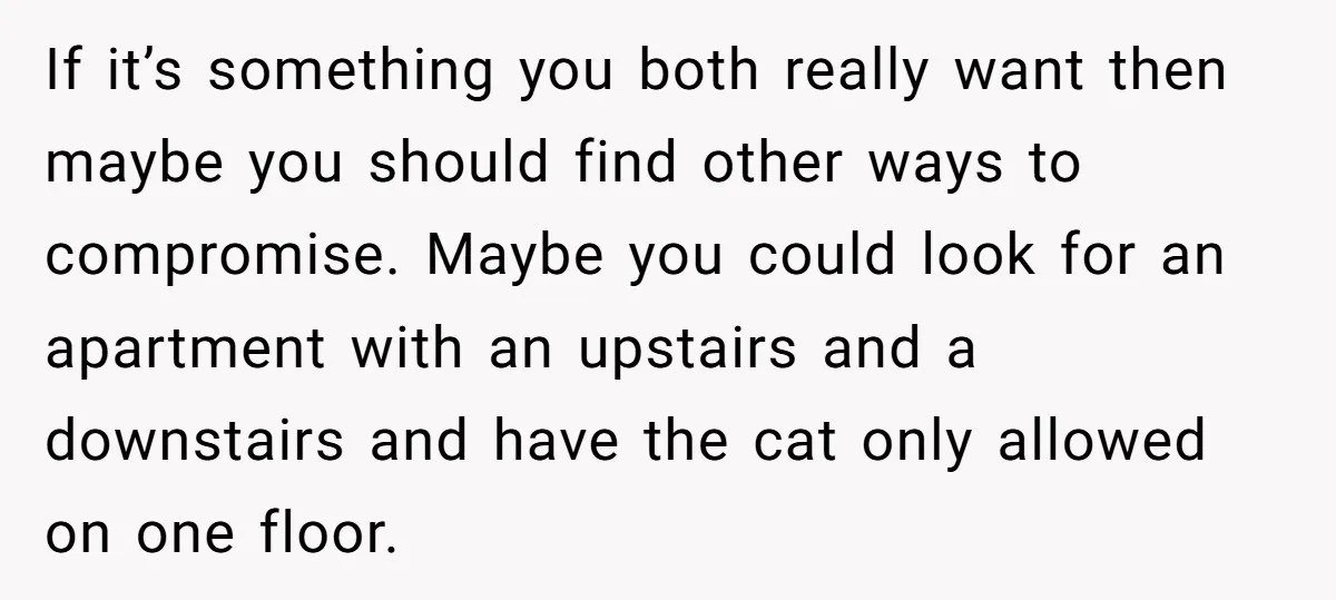 If it’s something you both really want then maybe you should find other ways to compromise. Maybe you could look for an apartment with an upstairs and a downstairs and...
