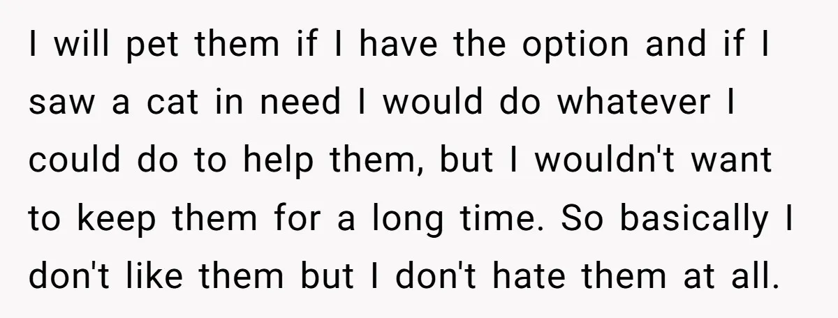 I will pet them if I have the option and if I saw a cat in need I would do whatever I could do to help them, but I wouldn't...