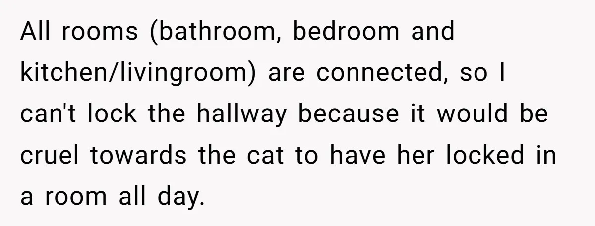All rooms (bathroom, bedroom and kitchen/livingroom) are connected, so I can't lock the hallway because it would be cruel towards the cat to have her locked in a room all...