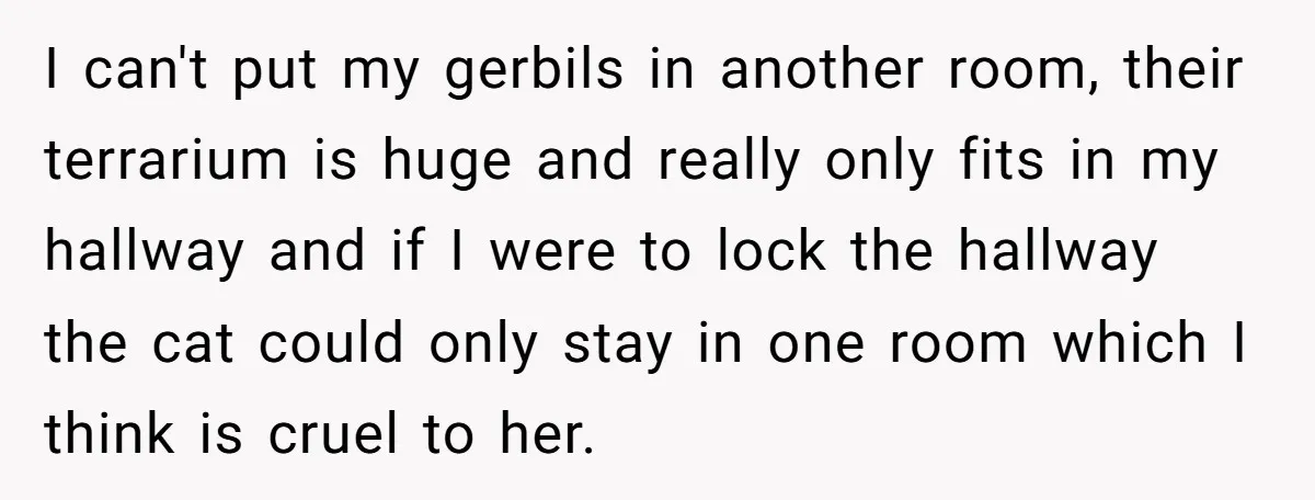 I can't put my gerbils in another room, their terrarium is huge and really only fits in my hallway and if I were to lock the hallway the cat could...