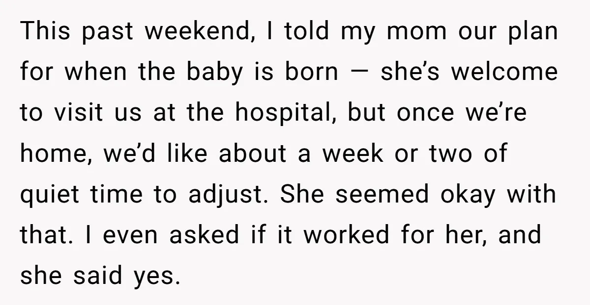 This past weekend, I told my mom our plan for when the baby is born — she’s welcome to visit us at the hospital, but once we’re home, we’d like...