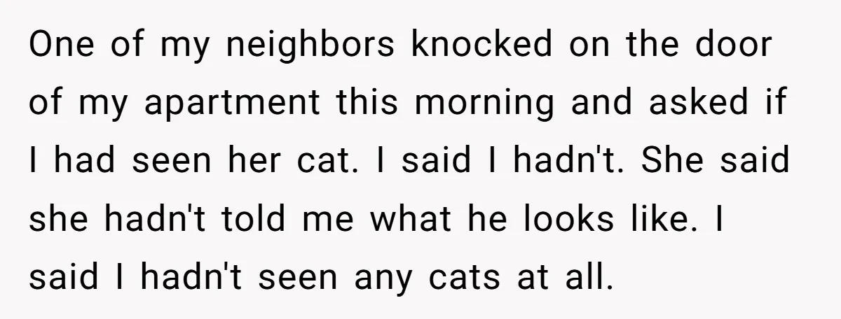 One of my neighbors knocked on the door of my apartment this morning and asked if I had seen her cat. I said I hadn't. She said she hadn't told...