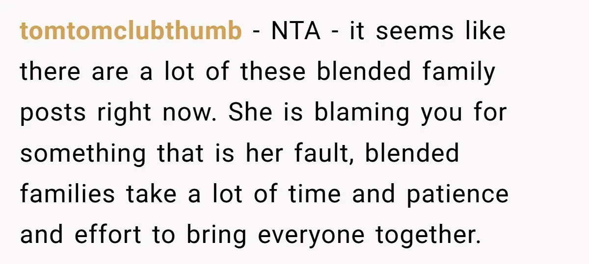 tomtomclubthumb − NTA - it seems like there are a lot of these blended family posts right now. She is blaming you for something that is her fault, blended families...