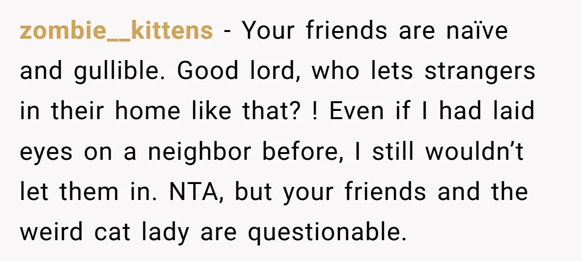 zombie__kittens − Your friends are naïve and gullible. Good lord, who lets strangers in their home like that? ! Even if I had laid eyes on a neighbor before, I...