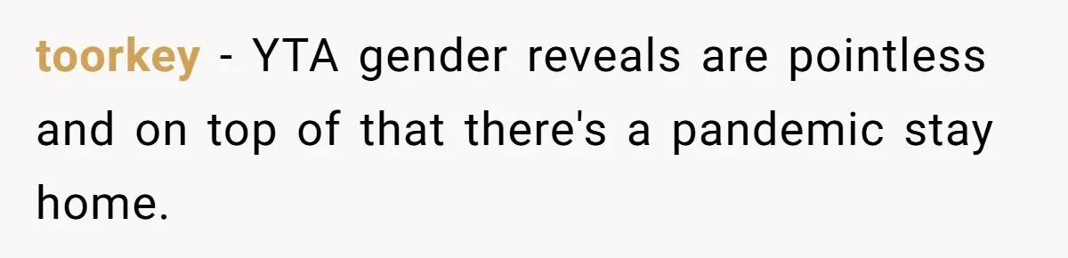 toorkey − YTA gender reveals are pointless and on top of that there's a pandemic stay home.