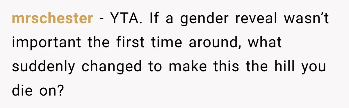 mrschester − YTA. If a gender reveal wasn’t important the first time around, what suddenly changed to make this the hill you die on?