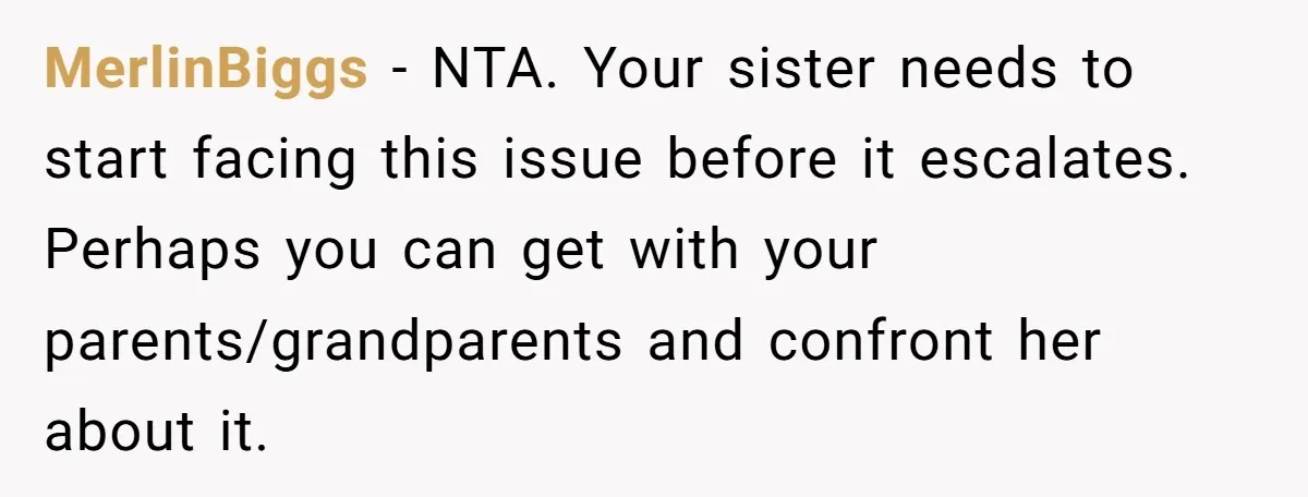 MerlinBiggs − NTA. Your sister needs to start facing this issue before it escalates. Perhaps you can get with your parents/grandparents and confront her about it.