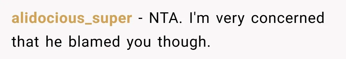 alidocious_super − NTA. I'm very concerned that he blamed you though.