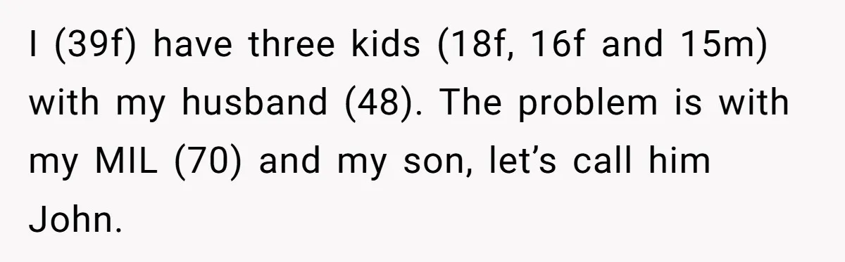 I (39f) have three kids (18f, 16f and 15m) with my husband (48). The problem is with my MIL (70) and my son, let’s call him John.