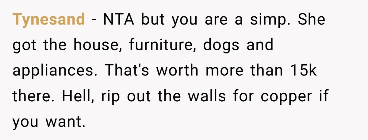 Tynesand − NTA but you are a simp. She got the house, furniture, dogs and appliances. That's worth more than 15k there. Hell, rip out the walls for copper if...
