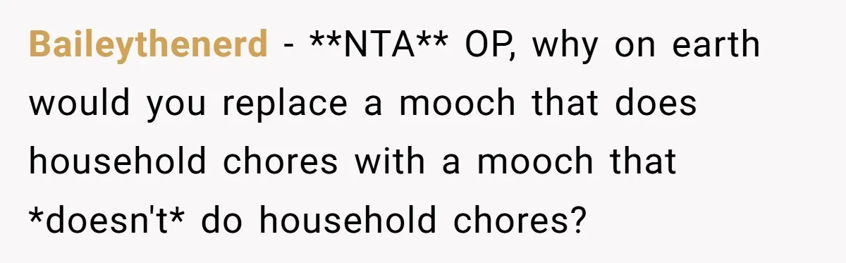Baileythenerd − **NTA** OP, why on earth would you replace a mooch that does household chores with a mooch that *doesn't* do household chores?