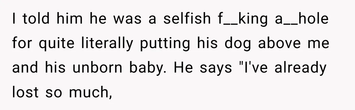 I told him he was a selfish f__king a__hole for quite literally putting his dog above me and his unborn baby. He says "I've already lost so much,