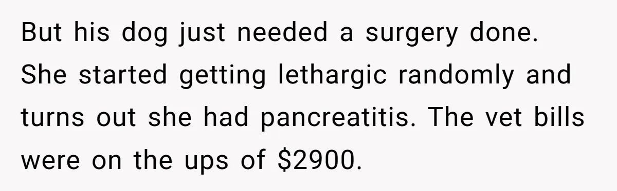 But his dog just needed a surgery done. She started getting lethargic randomly and turns out she had pancreatitis. The vet bills were on the ups of $2900.