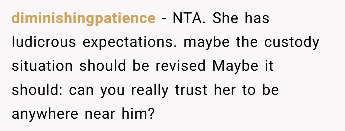 diminishingpatience − NTA. She has ludicrous expectations. maybe the custody situation should be revised Maybe it should: can you really trust her to be anywhere near him?