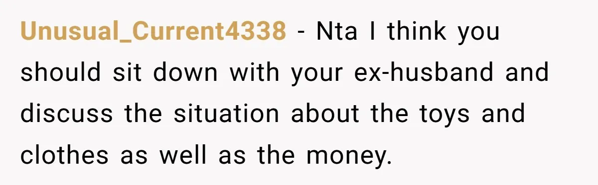 Unusual_Current4338 − Nta I think you should sit down with your ex-husband and discuss the situation about the toys and clothes as well as the money.