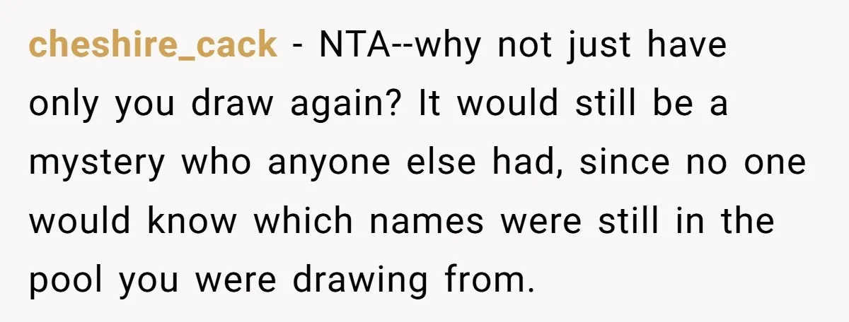 cheshire_cack − NTA--why not just have only you draw again? It would still be a mystery who anyone else had, since no one would know which names were still in...