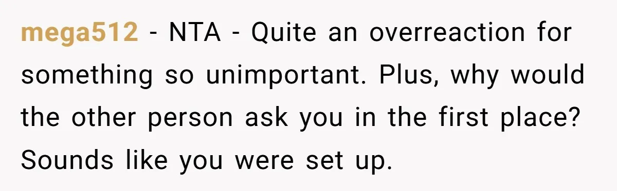mega512 − NTA - Quite an overreaction for something so unimportant. Plus, why would the other person ask you in the first place? Sounds like you were set up.
