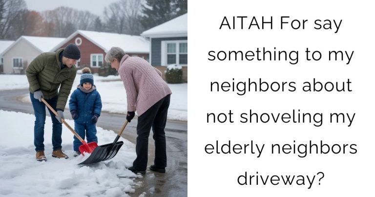 AITAH For say something to my neighbors about not shoveling my elderly neighbors driveway?