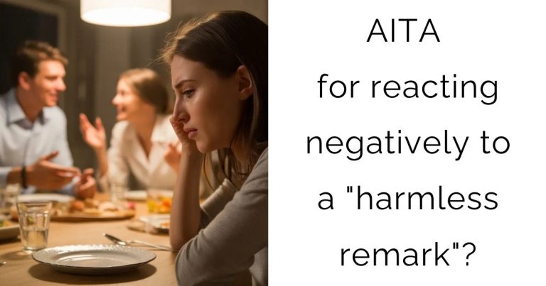 AITA for reacting negatively to a “harmless remark”?