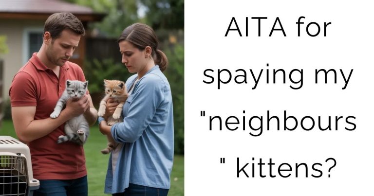 AITA for spaying my “neighbours” kittens?