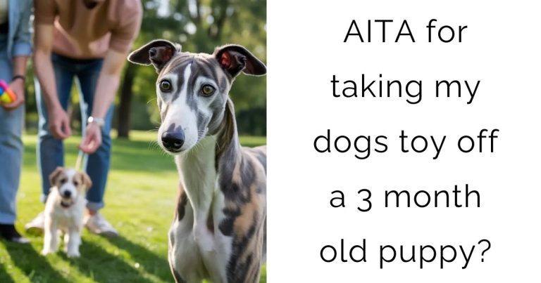 AITA for taking my dogs toy off a 3 month old puppy?