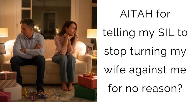 AITAH for telling my SIL to stop turning my wife against me for no reason?