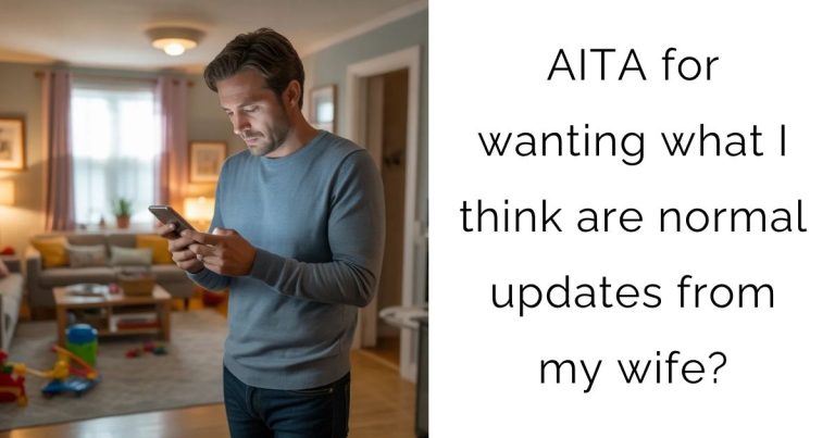 AITA for wanting what I think are normal updates from my wife?