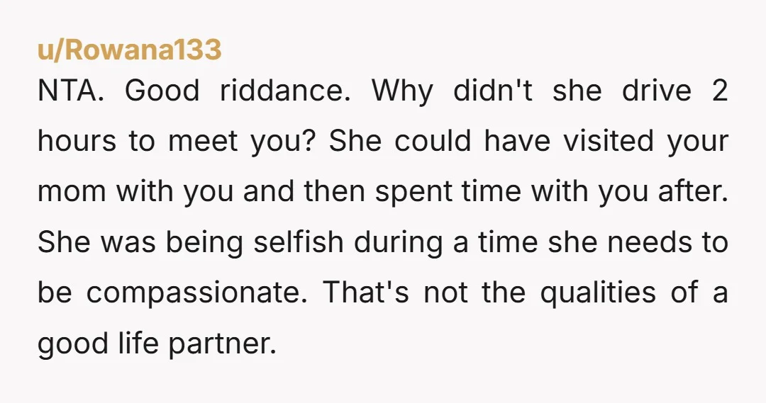 NTA. Good riddance. Why didn't she drive 2 hours to meet you? She could have visited your mom with you and then spent time with you after. She was being...