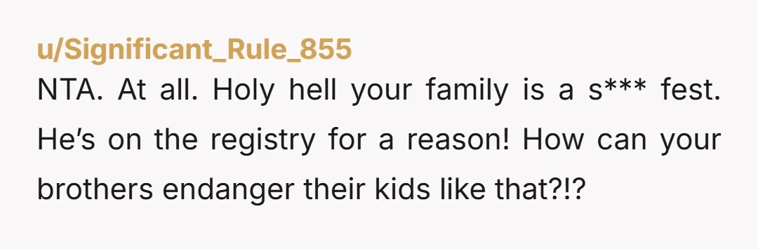 NTA. At all. Holy hell your family is a s*** fest. He’s on the registry for a reason! How can your brothers endanger their kids like that?!?