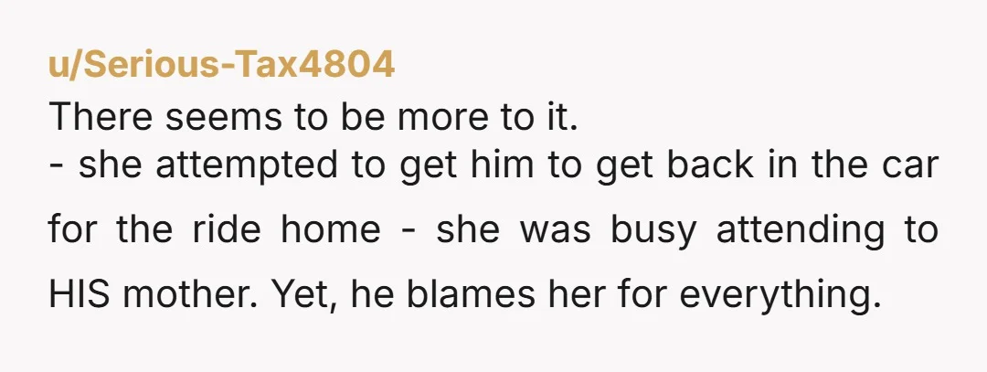 There seems to be more to it. - she attempted to get him to get back in the car for the ride home - she was busy attending to HIS...