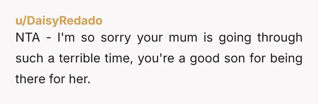 NTA - I'm so sorry your mum is going through such a terrible time, you're a good son for being there for her.